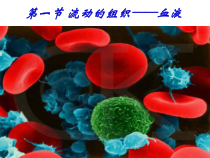 4.4.1《流动的组织——血液》PPT课件4-七年级生物下册【人教版】