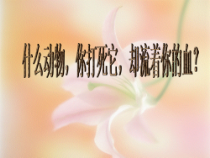 4.4.2《血流的管道——血管》PPT课件1-七年级生物下册【人教版】