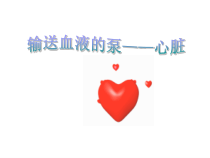 4.4.3《输送血液的泵——心脏》PPT课件4-七年级生物下册【人教版】