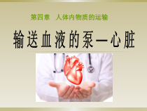 4.4.3《输送血液的泵——心脏》PPT课件5-七年级生物下册【人教版】