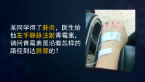 4.4.3《输送血液的泵——心脏》PPT课件1-七年级生物下册【人教版】