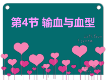 4.4.4《输血与血型》PPT课件3-七年级生物下册【人教版】