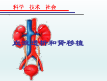 4.5.1《科学 技术 社会 血液透析和肾移植》PPT课件1-七年级生物下册【人教版】
