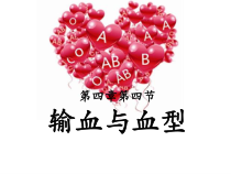 4.4.4《输血与血型》PPT课件5-七年级生物下册【人教版】