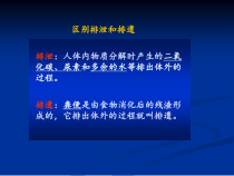 4.5.2《人体内废物的排出》PPT课件4-七年级生物下册【人教版】