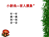4.6.1《人体对外界环境的感知》PPT课件1-七年级生物下册【人教版】