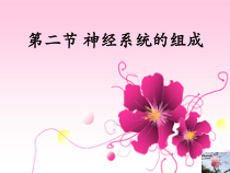 4.6.2《神经系统的组成》PPT课件2-七年级生物下册【人教版】