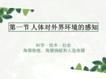 4.6.1科学·技术·社会《角膜移植、角膜捐献和人造角膜》PPT课件2-七年级生物下册【人教版】