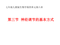 4.6.3《神经调节的基本方式》PPT课件3-七年级生物下册【人教版】