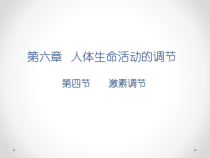 4.6.4《激素调节》PPT课件２-七年级生物下册【人教版】