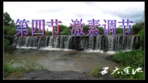 4.6.4《激素调节》PPT课件３-七年级生物下册【人教版】