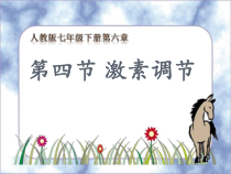 4.6.4《激素调节》PPT课件４-七年级生物下册【人教版】