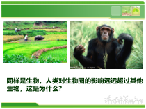 4.7.1《分析人类活动对生态环境的影响》PPT课件6-七年级生物下册【人教版】