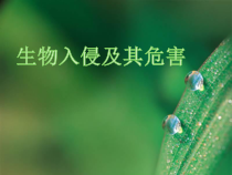 4.7.1《科学·技术·社会 生物入侵及其危害》PPT课件4-七年级生物下册【人教版】