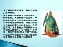 4.7.1《科学·技术·社会 生物入侵及其危害》PPT课件5-七年级生物下册【人教版】