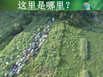 4.7.2《探究环境污染对生物的影响》PPT课件2-七年级生物下册【人教版】
