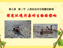 4.7.2《探究环境污染对生物的影响》PPT课件3-七年级生物下册【人教版】