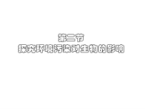 4.7.2《探究环境污染对生物的影响》PPT课件5-七年级生物下册【人教版】