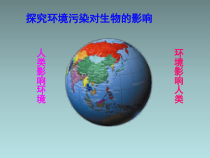 4.7.2《探究环境污染对生物的影响》PPT课件6-七年级生物下册【人教版】
