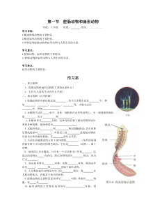 1.第一节《腔肠动物和扁形动物》学案-八年级上册生物人教版