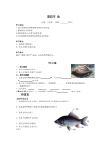 4.第四节《鱼》学案-八年级上册生物人教版