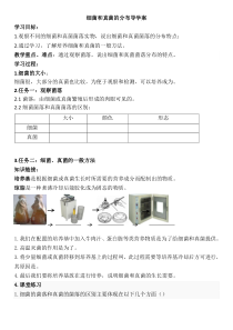 5.4.1《细菌和真菌的分布》导学案-八年级上册生物人教版