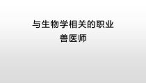 5.1.7《与生物学有关的职业——兽医师》PPT课件2-八年级上册生物人教版