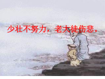 5.2.2《先天性行为和学习行为》PPT课件7-八年级上册生物人教版