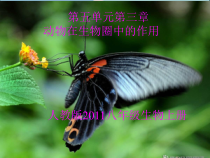 5.3.2《动物在生物圈中的作用》PPT课件3-八年级上册生物人教版
