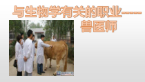 5.1.7《与生物学有关的职业——兽医师》PPT课件1-八年级上册生物人教版