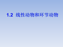 5.1.2《线形动物和环节动物》PPT课件4-八年级上册生物人教版