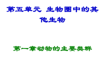 5.1.1《腔肠动物和扁形动物》PPT课件5-八年级上册生物人教版