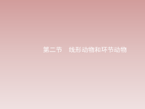 5.1.2《线形动物和环节动物》PPT课件5-八年级上册生物人教版