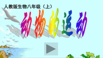 5.2.1《动物的运动》PPT课件2-八年级上册生物人教版