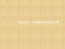 5.1.1《腔肠动物和扁形动物》PPT课件3-八年级上册生物人教版