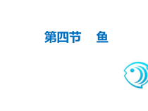 5.1.4《鱼》PPT课件2-八年级上册生物人教版