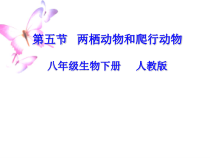 5.1.5《两栖动物和爬行动物》PPT课件3-八年级上册生物人教版