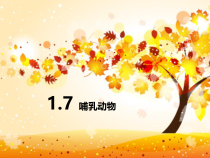 5.1.7《哺乳动物》PPT课件5-八年级上册生物人教版