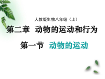 5.2.1《动物的运动》PPT课件4-八年级上册生物人教版