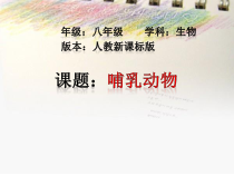 5.1.7《哺乳动物》PPT课件8-八年级上册生物人教版