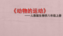 5.2.1《动物的运动》PPT课件7-八年级上册生物人教版