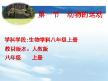 5.2.1《动物的运动》PPT课件8-八年级上册生物人教版