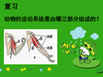 5.2.2《先天性行为和学习行为》PPT课件2-八年级上册生物人教版