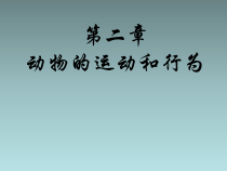 5.2.3《社会行为》PPT课件1-八年级上册生物人教版