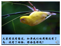 5.3.2《动物在生物圈中的作用》PPT课件2-八年级上册生物人教版