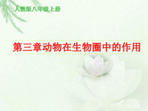 5.3.2《动物在生物圈中的作用》PPT课件5-八年级上册生物人教版