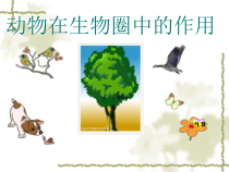 5.3.2《动物在生物圈中的作用》PPT课件10-八年级上册生物人教版