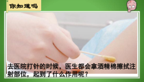 5.4.1《细菌和真菌的分布》PPT课件2-八年级上册生物人教版