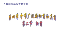 5.4.2《细菌》PPT课件1-八年级上册生物人教版