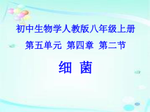 5.4.2《细菌》PPT课件7-八年级上册生物人教版